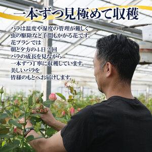 ふるさと納税 定期便 バラの花束 薔薇 花束 ...の詳細画像2