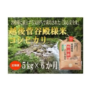 ふるさと納税 【定期便】 令和5年産 越後菅谷殿...の商品画像
