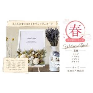 ふるさと納税 【年4回定期便】季節のドライフラ...の詳細画像1