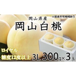 ふるさと納税 桃 2026年 先行予約 岡山 白桃 ロイヤル 3玉×約300g（3Lサイズ） JA おかやま のもも（早生種・中生種） もも モモ 岡山県産 .. 岡山県玉野市