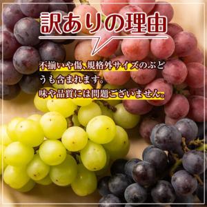 ふるさと納税 A0-248 <期間限定!202...の詳細画像2