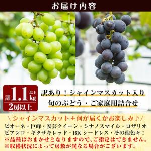 ふるさと納税 A0-248 <期間限定!202...の詳細画像3