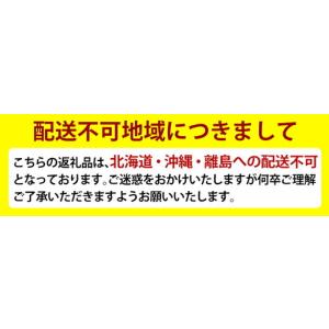 ふるさと納税 A0-248 <期間限定!202...の詳細画像4