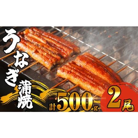 ふるさと納税 ふっくら肉厚 有頭 うなぎ蒲焼 2尾 500g SF010-2 福岡県須恵町