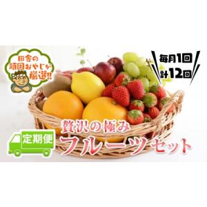 ふるさと納税 【定期便】贅沢の極みフルーツセット 【毎月1回1年コース(計12回)】 茨城県つくばみらい市