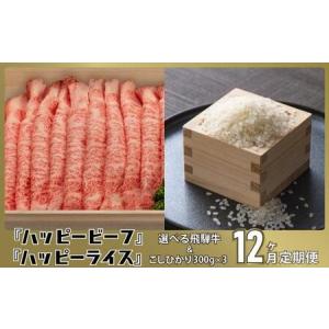 ふるさと納税 米 と 飛騨牛 【定期便】 12回 こしひかり コシヒカリ Ａ5等級 ブランド牛 12ヶ月 内祝い のし 熨斗 ハッピープラス 飛騨高山 JQ10.. 岐阜県高山市