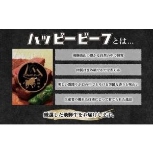 ふるさと納税 米 と 飛騨牛 【定期便】 12...の詳細画像2