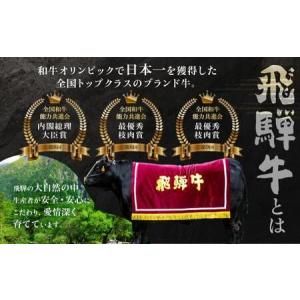 ふるさと納税 米 と 飛騨牛 【定期便】 12...の詳細画像3