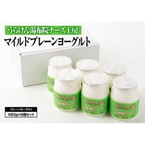 ふるさと納税 〜由布院チーズ工房からのお届け〜　甘味料未使用！生乳の旨味が感じられるマイルドプレーンヨーグルト（480g×6個） 大分県由布市｜furunavi