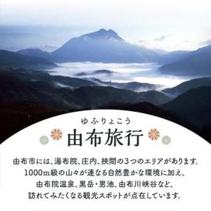 ふるさと納税 【由布市(湯布院、由布院、湯平、...の詳細画像2