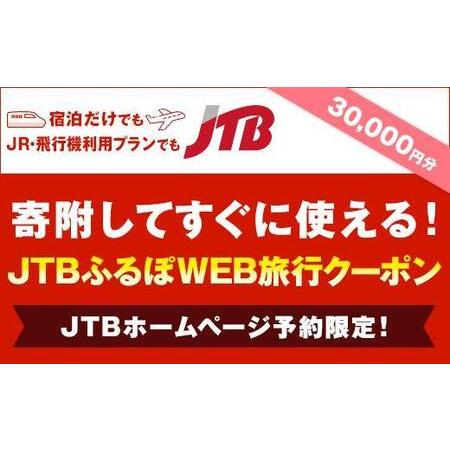 ふるさと納税 【湯布院、由布院、湯平、塚原高原】JTBふるぽWEB旅行クーポン（30,000円分） ...