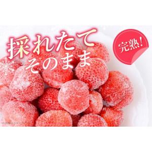 ふるさと納税 いちご 冷凍 完熟 あまおう 2...の詳細画像2