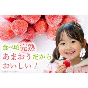 ふるさと納税 いちご 冷凍 完熟 あまおう 2...の詳細画像3