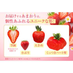 ふるさと納税 いちご 冷凍 完熟 あまおう 2...の詳細画像4