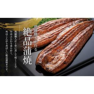 ふるさと納税 うなぎ 蒲焼き 3尾 270g ...の詳細画像1