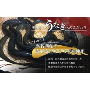 ふるさと納税 うなぎ 蒲焼き 3尾 270g ...の詳細画像2