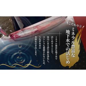 ふるさと納税 うなぎ 蒲焼き 3尾 270g ...の詳細画像3