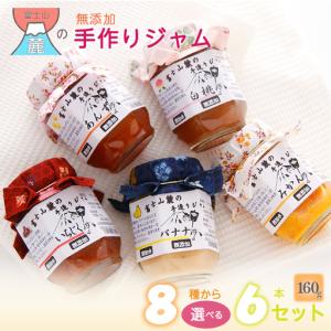 ふるさと納税 【布なし】富士山麓の無添加手作りジャム　8種から選べる6本セット DSC002　無添加 手作り ジャム 山梨県道志村