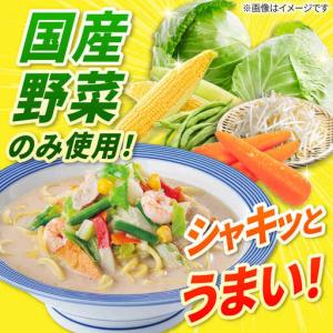 ふるさと納税 【12回定期便】長崎ちゃんぽん ...の詳細画像2