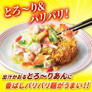 ふるさと納税 【12回定期便】長崎皿うどん 毎...の詳細画像1