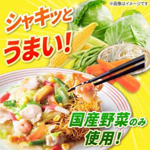 ふるさと納税 【12回定期便】長崎皿うどん 毎...の詳細画像2