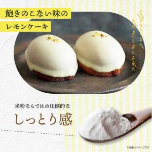 ふるさと納税 【全12回定期便】グルテンフリー...の詳細画像1