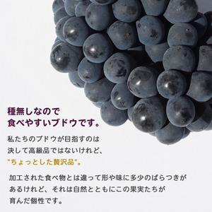ふるさと納税 先行予約<旬のブドウ「ベリーA」...の詳細画像1