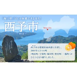ふるさと納税 先行予約<旬のブドウ「ベリーA」...の詳細画像3