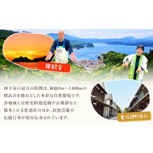 ふるさと納税 先行予約<旬のブドウ「ベリーA」...の詳細画像4