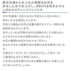 ふるさと納税 「全6回定期便」季節のアレンジメ...の詳細画像2