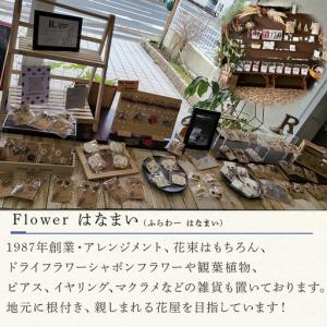ふるさと納税 「全6回定期便」季節のアレンジメ...の詳細画像3