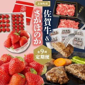 ふるさと納税 【9回定期便】玄海町産さがほのか＆佐賀牛 定期便 ／ いちご ハンバーグ 肉【Z025】 佐賀県玄海町
