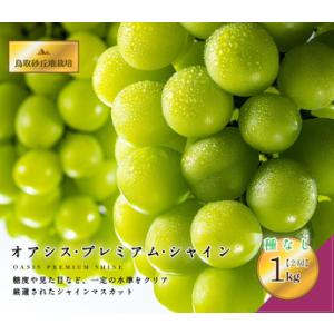ふるさと納税 563.【先行予約】オアシス・プレミアム・シャイン 1kg（鳥取砂丘地栽培）｜ シャインマスカット 葡萄 ぶどう 産地直送 フルーツ 果.. 鳥取県北栄町
