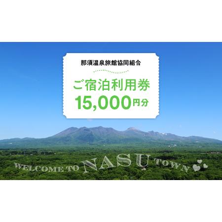 ふるさと納税 那須温泉旅館協同組合　ご宿泊利用券15,000円分（3,000円×5枚）〔E-6〕≪旅...