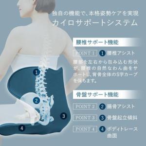 ふるさと納税 Style SMART【ブラウン...の詳細画像3