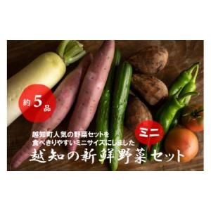 ふるさと納税 越知産市の季節の野菜ミニセット　産地直送　旬野菜 高知県越知町｜furunavi