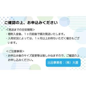 ふるさと納税 メリーズ ずっと肌さらエアスルー...の詳細画像4