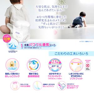 ふるさと納税 [全2回定期便] メリーズ ずっ...の詳細画像2