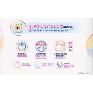 ふるさと納税 [全2回定期便] メリーズ ずっ...の詳細画像3