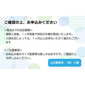 ふるさと納税 [全2回定期便] メリーズ ずっ...の詳細画像4