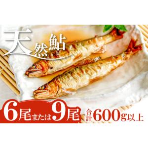ふるさと納税 B-259 高津川天然鮎『CAS冷凍』600g（200...
