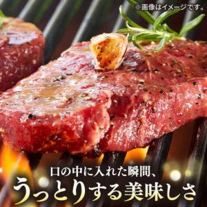 ふるさと納税 【全12回定期便】極上 壱岐牛 ...の詳細画像1