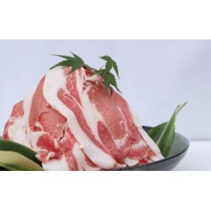 ふるさと納税 豚肉 ロース 和歌山県 すさみ町 数量限定 F1 ふるさと納税 豚肉 ロース 和歌山県 すさみ町 数量限定 F1