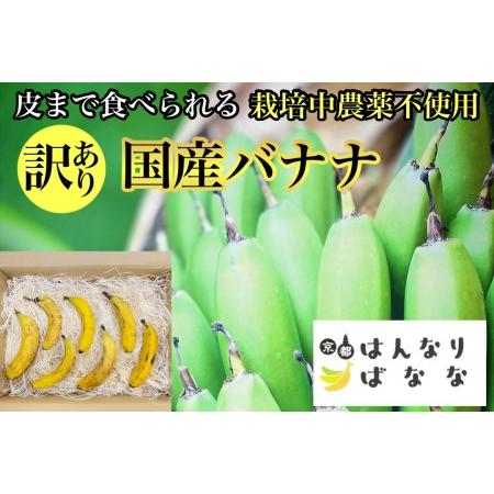 ふるさと納税 【訳あり】国産バナナ 1kg 皮まで食べられる 『京都はんなりばなな』※離島への配送不...