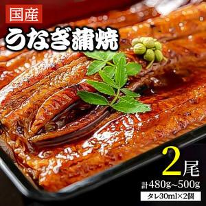 ふるさと納税 「国産うなぎ蒲焼(特大サイズ)」2尾(480g〜500g)【配送不可地域：離島】【12...