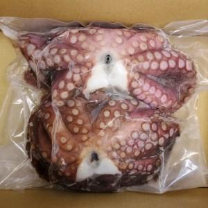 ふるさと納税 大阪泉州産「泉タコ(生だこ)」650g【配送不可地域：離島】【1229243】 大阪府...