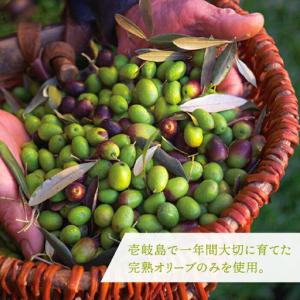 ふるさと納税 【全12回定期便】ikicael...の詳細画像3