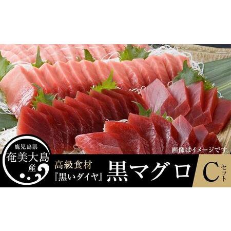 ふるさと納税 鹿児島県奄美大島産高級食材『黒いダイヤ』黒マグロ　Cセット 鹿児島県瀬戸内町