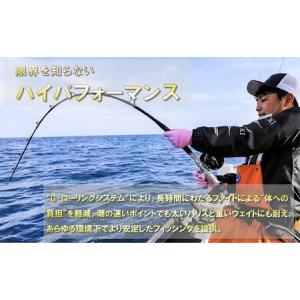 ふるさと納税 釣り具 剛樹 ジーダイブリミテッ...の詳細画像2