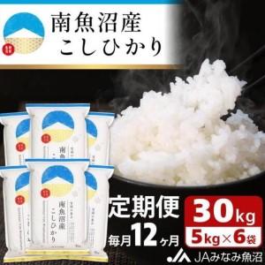 ふるさと納税 【JAみなみ魚沼定期便】南魚沼産こしひかり（30kg×全12回）精米 精米HACCP認定工場 特A獲得日本一産地 JAみなみ魚沼一番人.. 新潟県南魚沼市